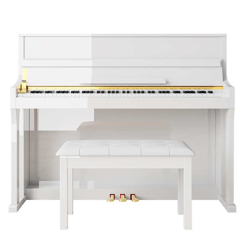 Digital Piano 88 Key Weighted - Pianoforte Digitale a 88 Tasti Pesati,