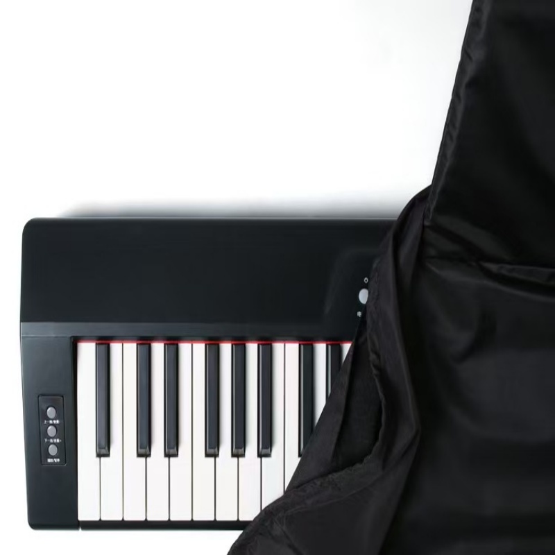 Copertura Antipolvere Lavabile - Digital Piano 88 Key Weighted recensione e prezzo