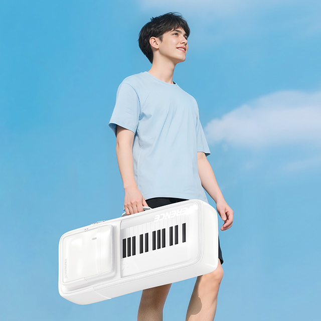 Terence C2 Astronomy Organo El - Midi Keyboard Controller 88 Key recensione e prezzo