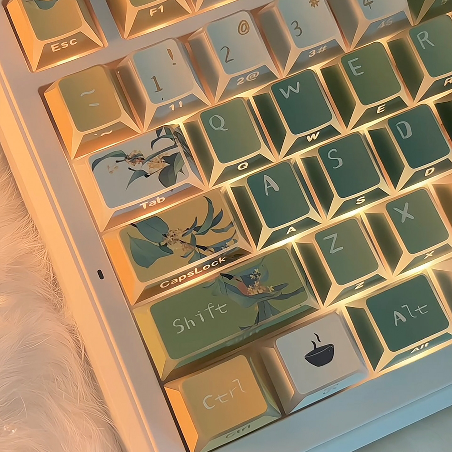 Tasti URE Oolong Tea con retro - Synthesizer Keyboard 61 Key recensione e prezzo