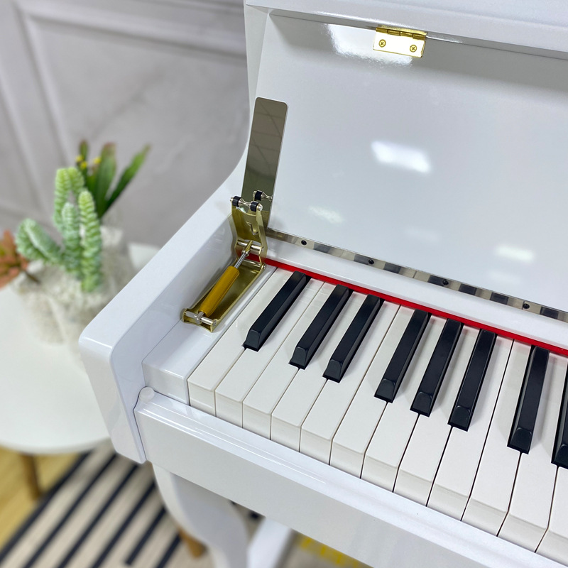 Pianoforte Digitale Verticale  - Digital Piano 88 Key Weighted recensione e prezzo